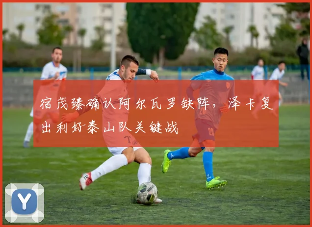 宿茂臻确认阿尔瓦罗缺阵，泽卡复出利好泰山队关键战